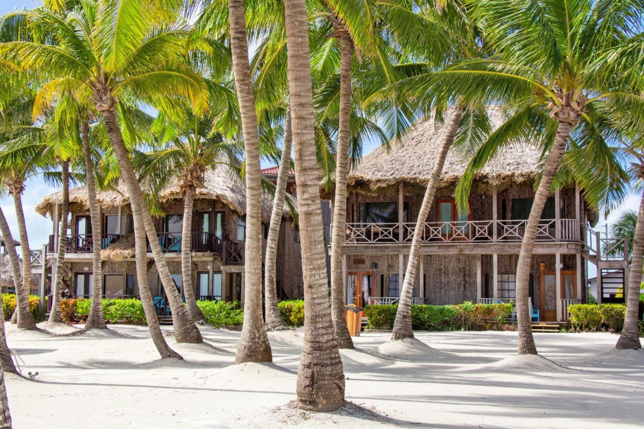 Dolphin Dreams Villa B3 San Pedro  Kültér fotó